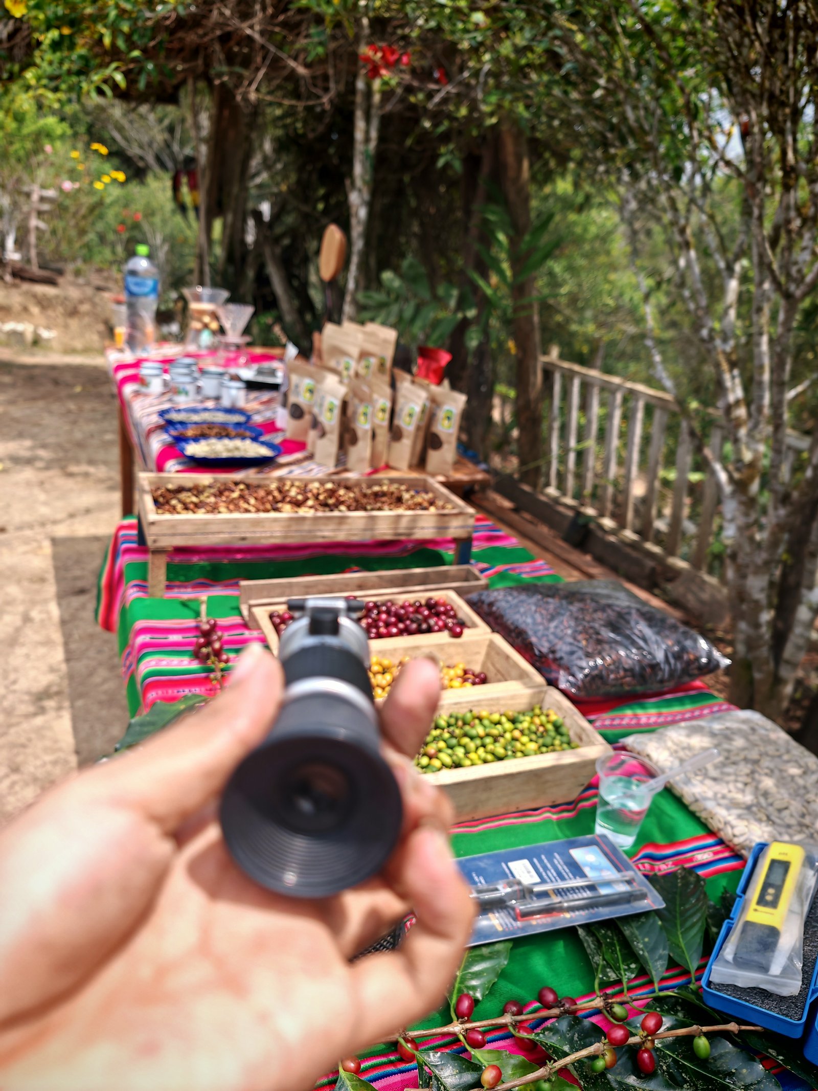 Foto Adventure and Coffee Caranavi