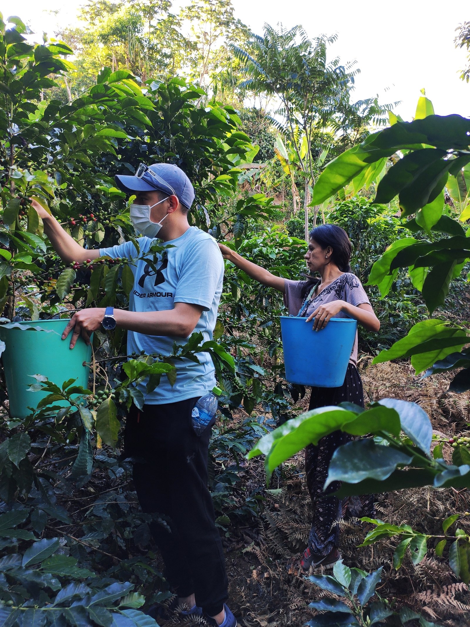Foto Adventure and Coffee Caranavi